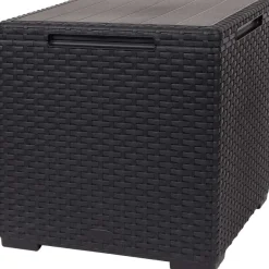 Online Allibert 2-In-1 Opbergbox En Tafeltje Tuinmeubelen