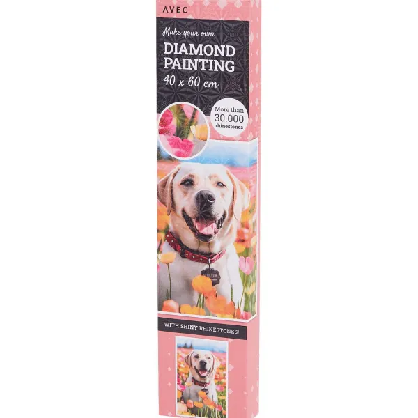 Online Avec Diamond Painting Knutselen