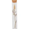 New Buisje Met Droogbloemen Woonaccessoires
