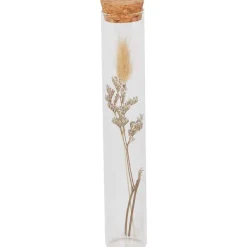 New Buisje Met Droogbloemen Woonaccessoires