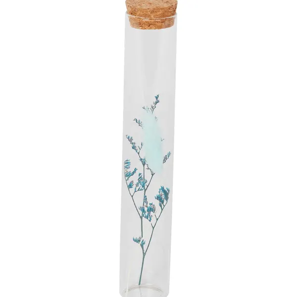 New Buisje Met Droogbloemen Woonaccessoires