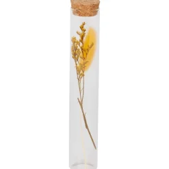 New Buisje Met Droogbloemen Woonaccessoires