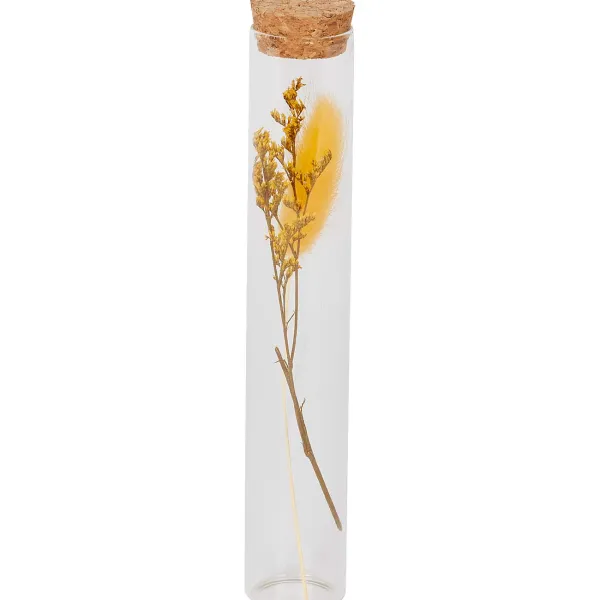 New Buisje Met Droogbloemen Woonaccessoires