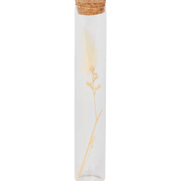 New Buisje Met Droogbloemen Woonaccessoires