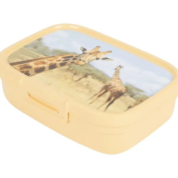 Clearance Lunchbox Met Print Bewaren & Meenemen