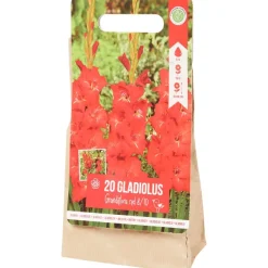 Hot Gladiolen Bloembollen Zaaien & Planten
