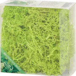 New Home Accents Decoratief Mos Seizoensdecoratie