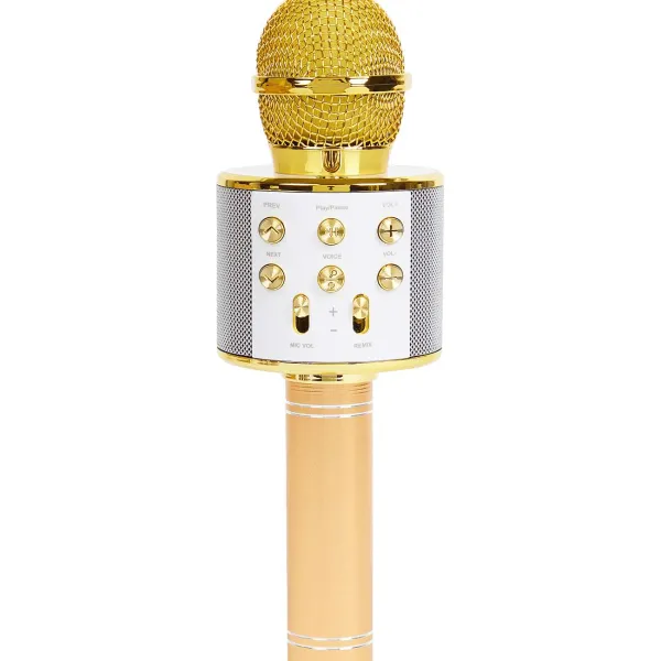 Fashion Karaoke-Microfoon Multimedia Accessoires
