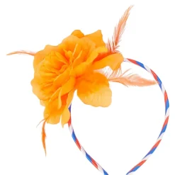 Discount Koningsdag Diadeem Verkleedkleding