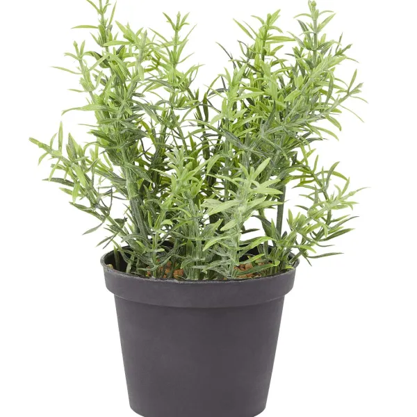 Sale Kunstkruidenplant Kunstplanten & -Bloemen