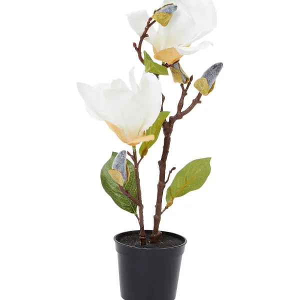 Hot Kunstmagnolia In Pot Kunstplanten & -Bloemen