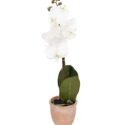 Best Kunstorchidee In Pot Kunstplanten & -Bloemen