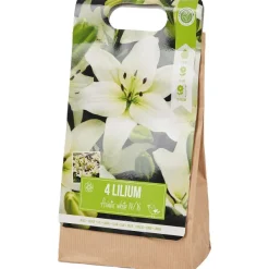 New Lelie Bloembollen Zaaien & Planten