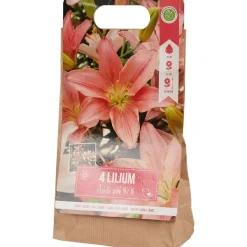 New Lelie Bloembollen Zaaien & Planten