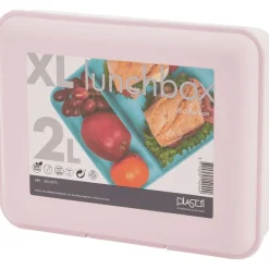 Best Lunchbox Met Vakken Bewaren & Meenemen