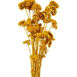 Outlet Nederlandse Droog Kunstbloemen Kunstplanten & -Bloemen