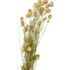 Outlet Nederlandse Droog Kunstbloemen Kunstplanten & -Bloemen