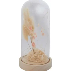 Online Stolp Met Droogbloemen En Licht Woonaccessoires