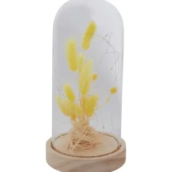 Online Stolp Met Droogbloemen En Licht Woonaccessoires