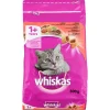 Online Droog Kattenvoer Dierenvoeding